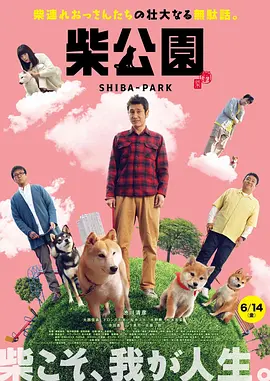 亚洲精品国产不卡在线观看