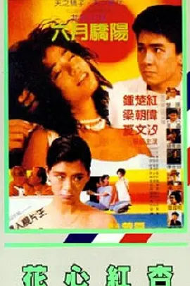 依然是你美梦
