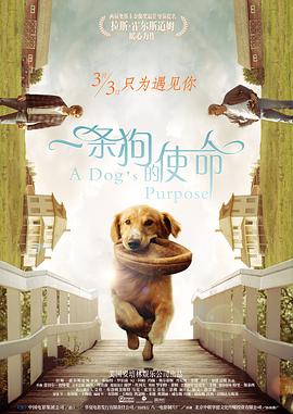 狠狠躁18三区二区一区ai明星