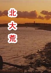 欧美a视频在线观看