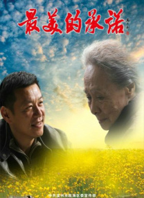 国内精品一区二区在线观看