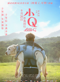 实名认证大全有效