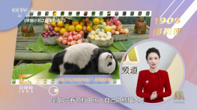 亚洲国产精品综合久久